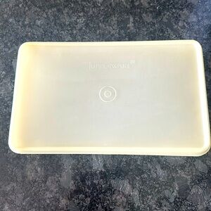 Rare Vintage Tupperware container